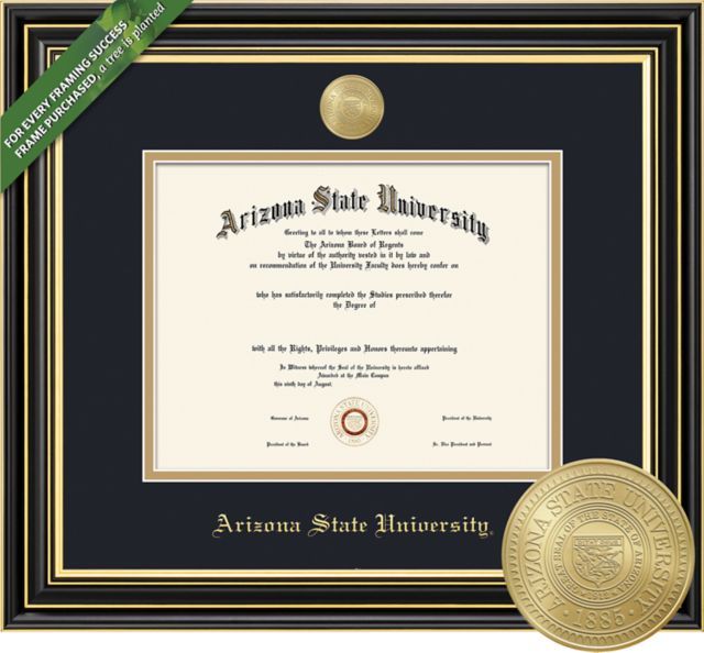 Framing Success 11 x 14 Doctorate/MA of Law Diploma with Black and Gold double mat and gold-minted medallion - ONLINE ONLY