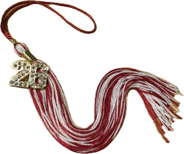 EvCC Bling Tassel