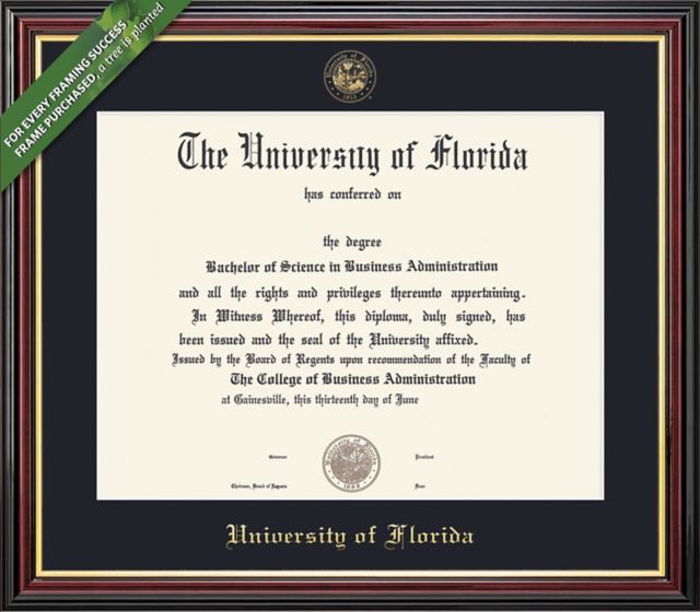 University of Florida 12" x 16" Value Price Academic Diploma Frame