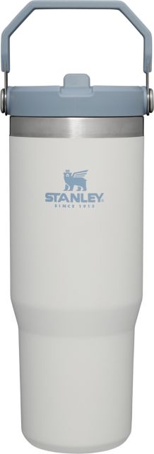 30OZ ICEFLOW FLIP STRAW ASH