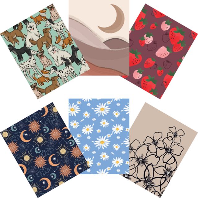 FY25 STUDIO SERIES NB ASST