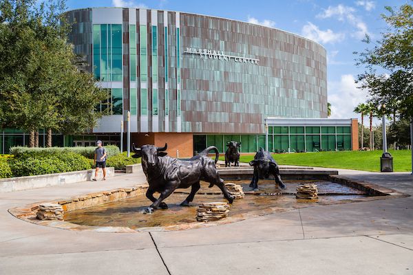 University of South Florida Tampa Bookstore Apparel, Merchandise, & Gifts