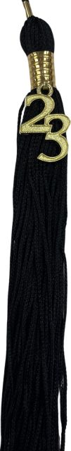 UTEP TASSEL