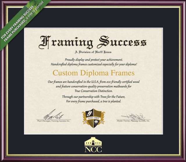 Framing Success Academic 7 x 9 Diploma with Single mat  - ONLINE ONLY